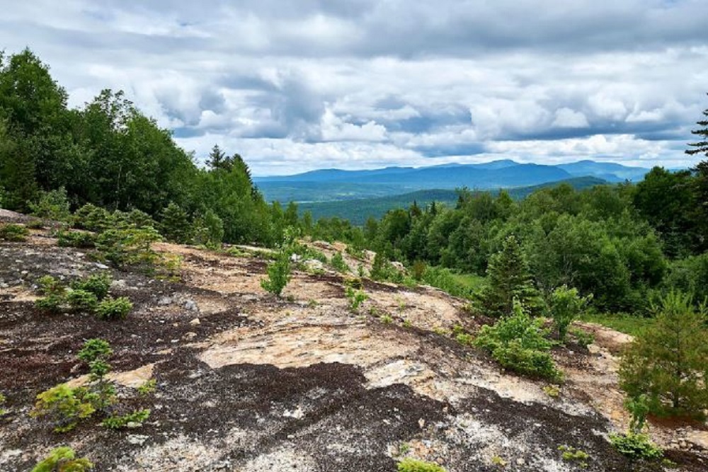 4 Incredible New England Land Opportunities On The Market Haven