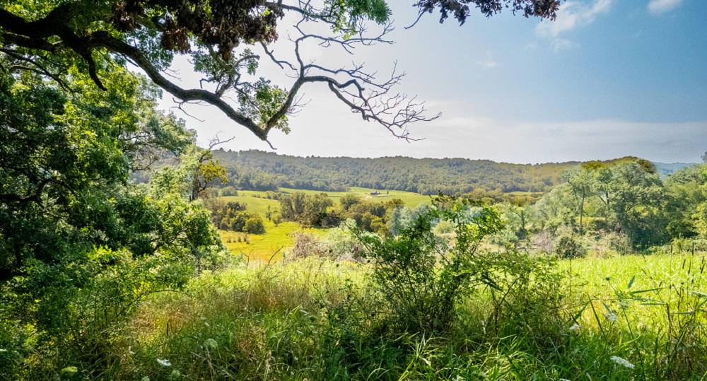 7 Custom Built Homes for Sale in Wisconsin Haven Lifestyles