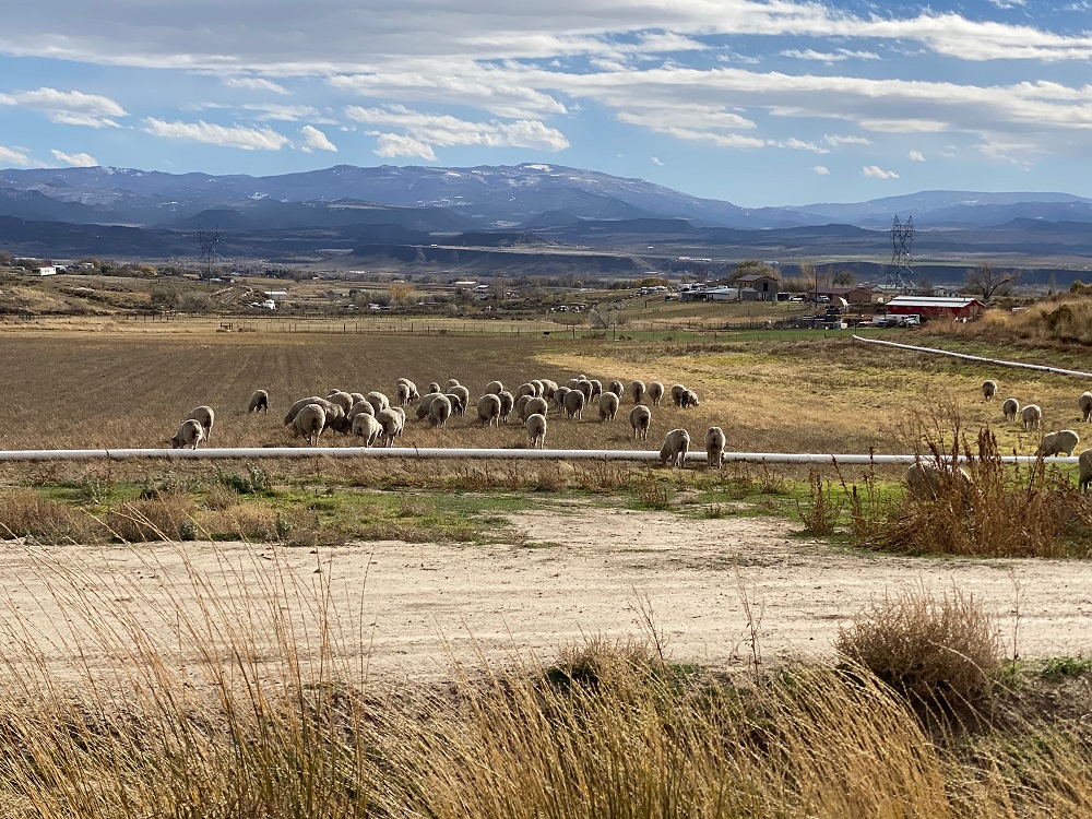 5 Colorado Land Properties Available for Sale Haven Lifestyles