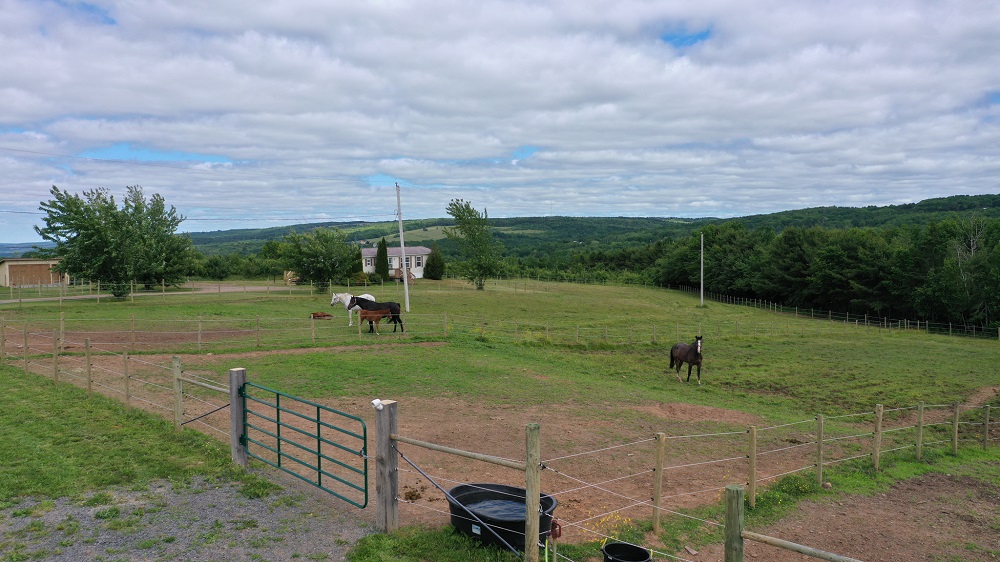 9 Impressive Nova Scotia Homes On The Market Haven Lifestyles