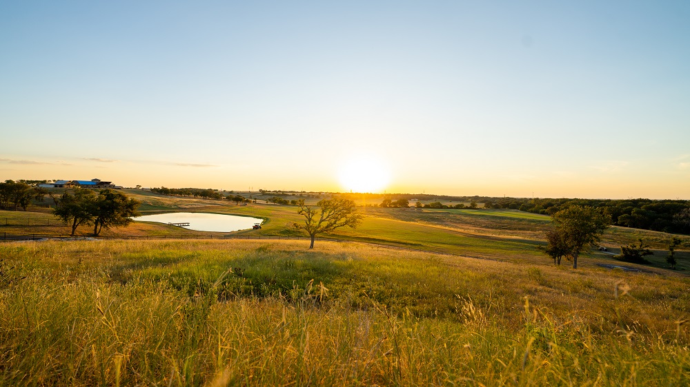 8 Beautiful Country Living Texas Homes for Sale Haven Lifestyles