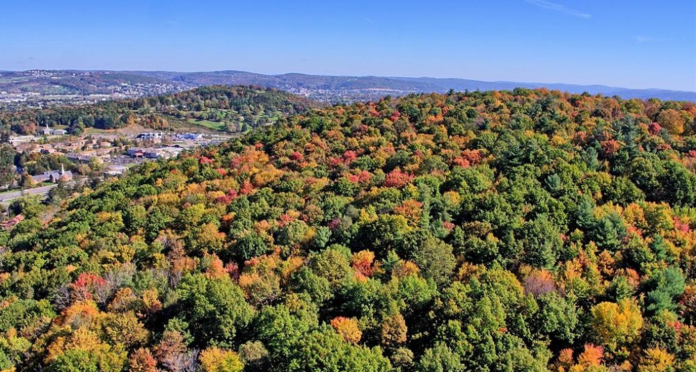 3 Sold Properties in New York Haven Lifestyles