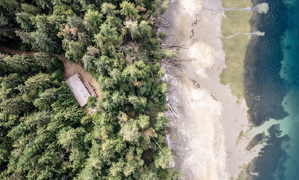 10 Serene Homes Available in Washington Haven Lifestyles