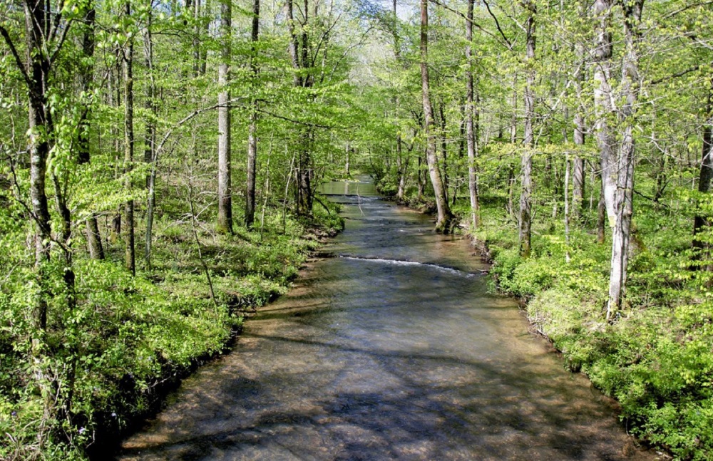 6 Tennessee Land Opportunities On The Market Haven Lifestyles