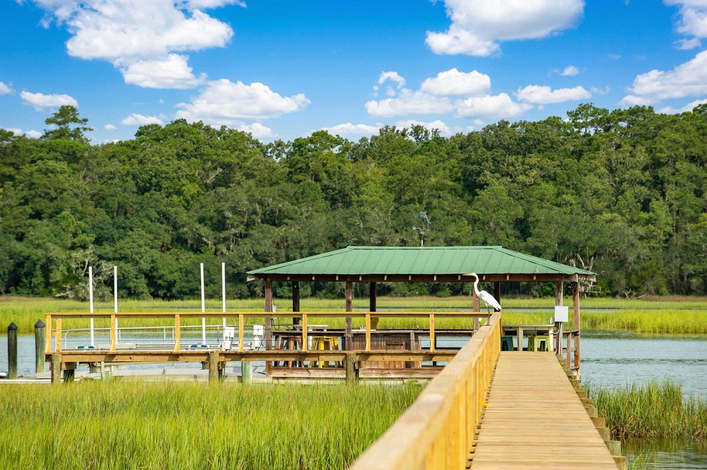 Luxury Coastal Living Oceanview Estate and Deepwater Properties in