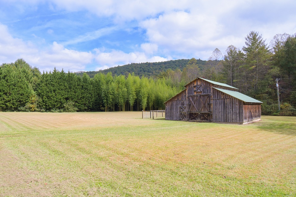 5 Homes On The Market In Ellijay & Talking Rock Haven Lifestyles