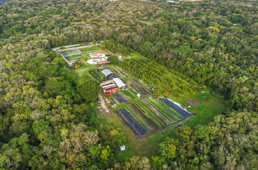 10 Ideal Miami Homes for Sale Haven Lifestyles