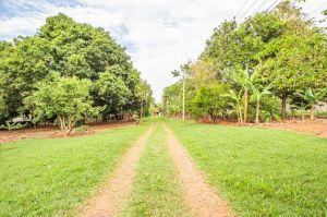 Chácara para Vender em Campinas/SP