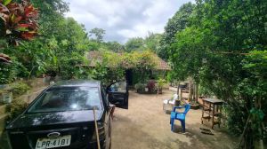 Sítio para Vender em São Fidélis (Todos os setores)