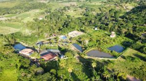 Chácara para Vender em Mata Redonda