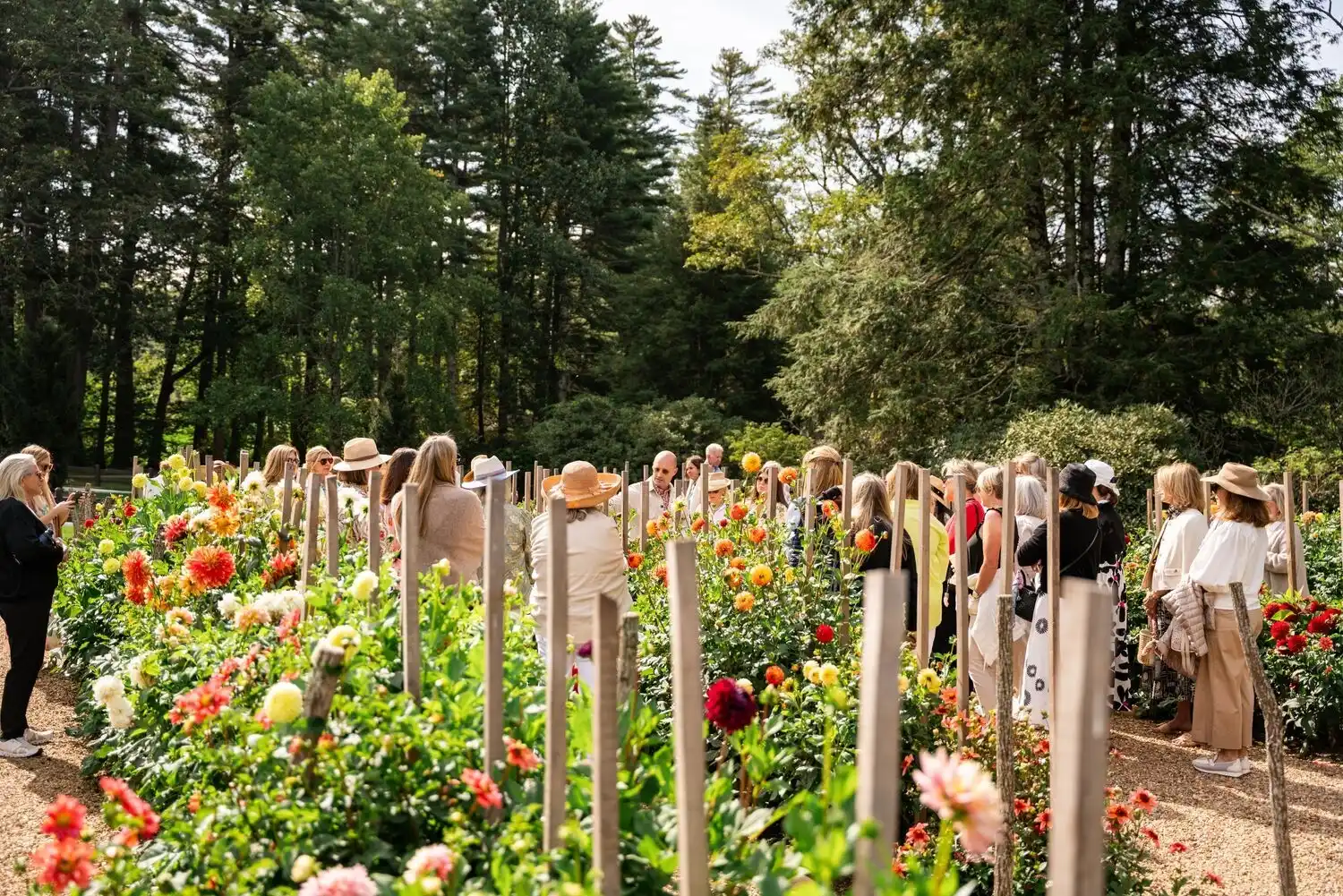 Group of Guests in the Dahlia Garden