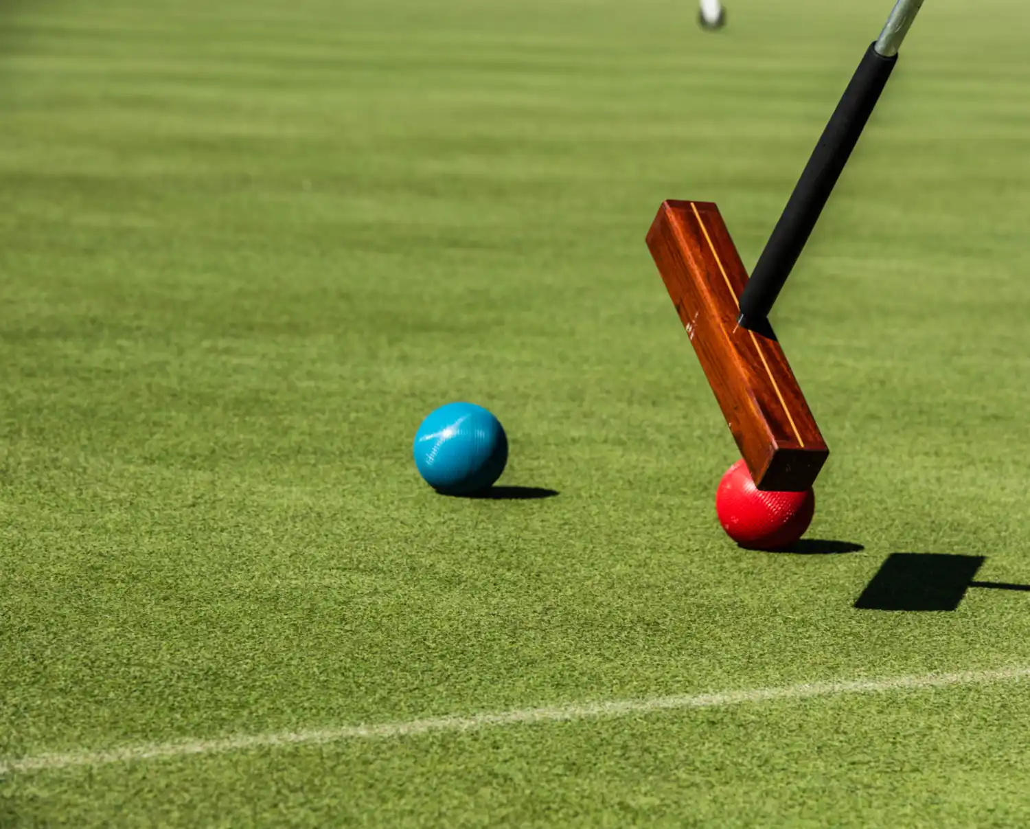 HH 22 05 16 RAU SPRING 8482