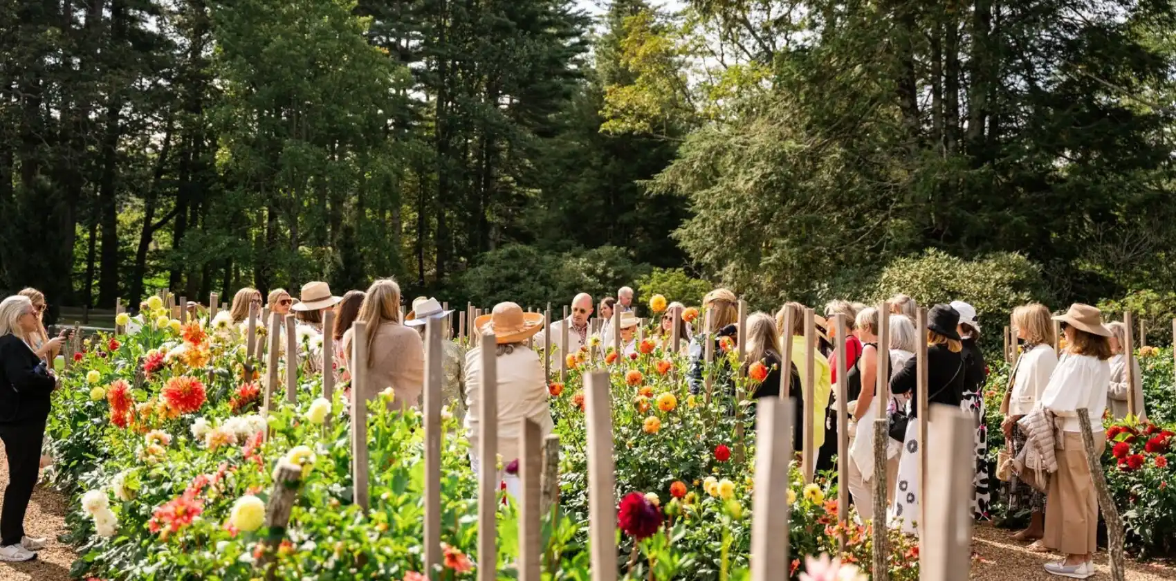 Group of Guests in the Dahlia Garden