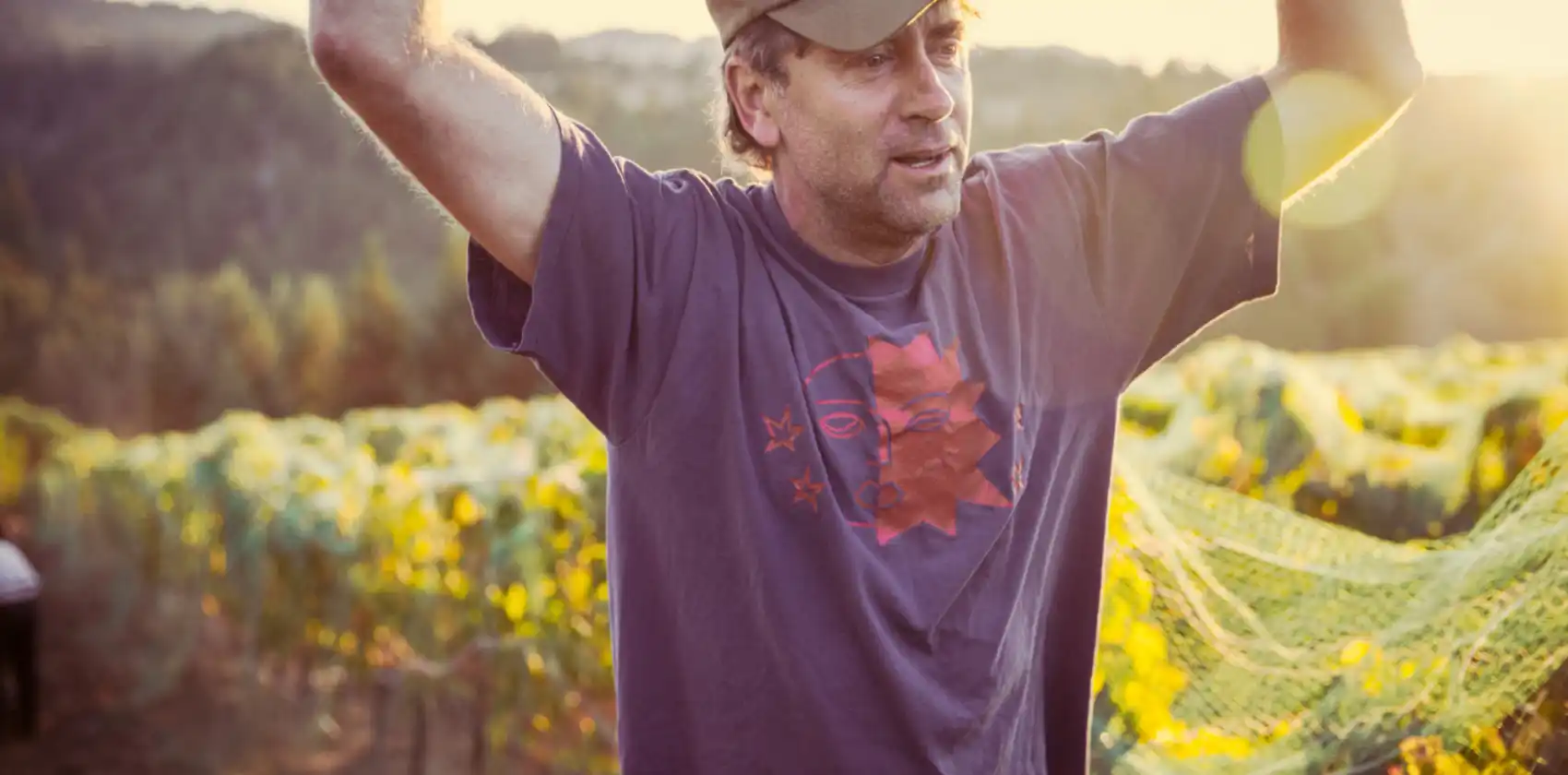 Ehren Estate Vineyard