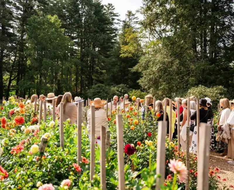 Group of Guests in the Dahlia Garden