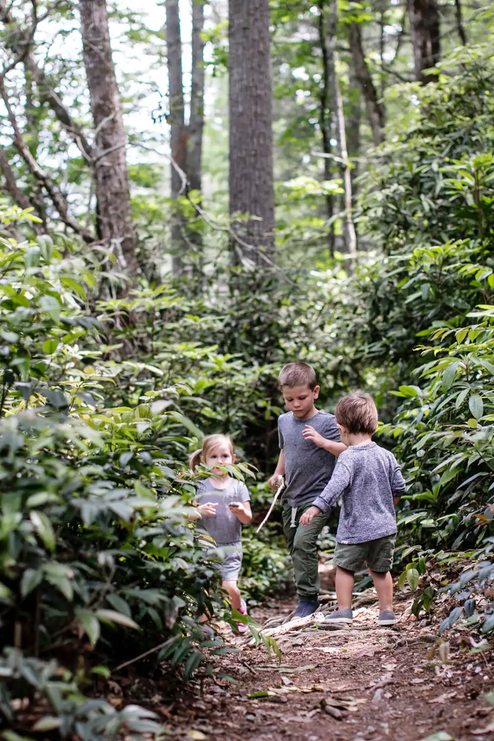 HH Web Homepage Kids In The Woods
