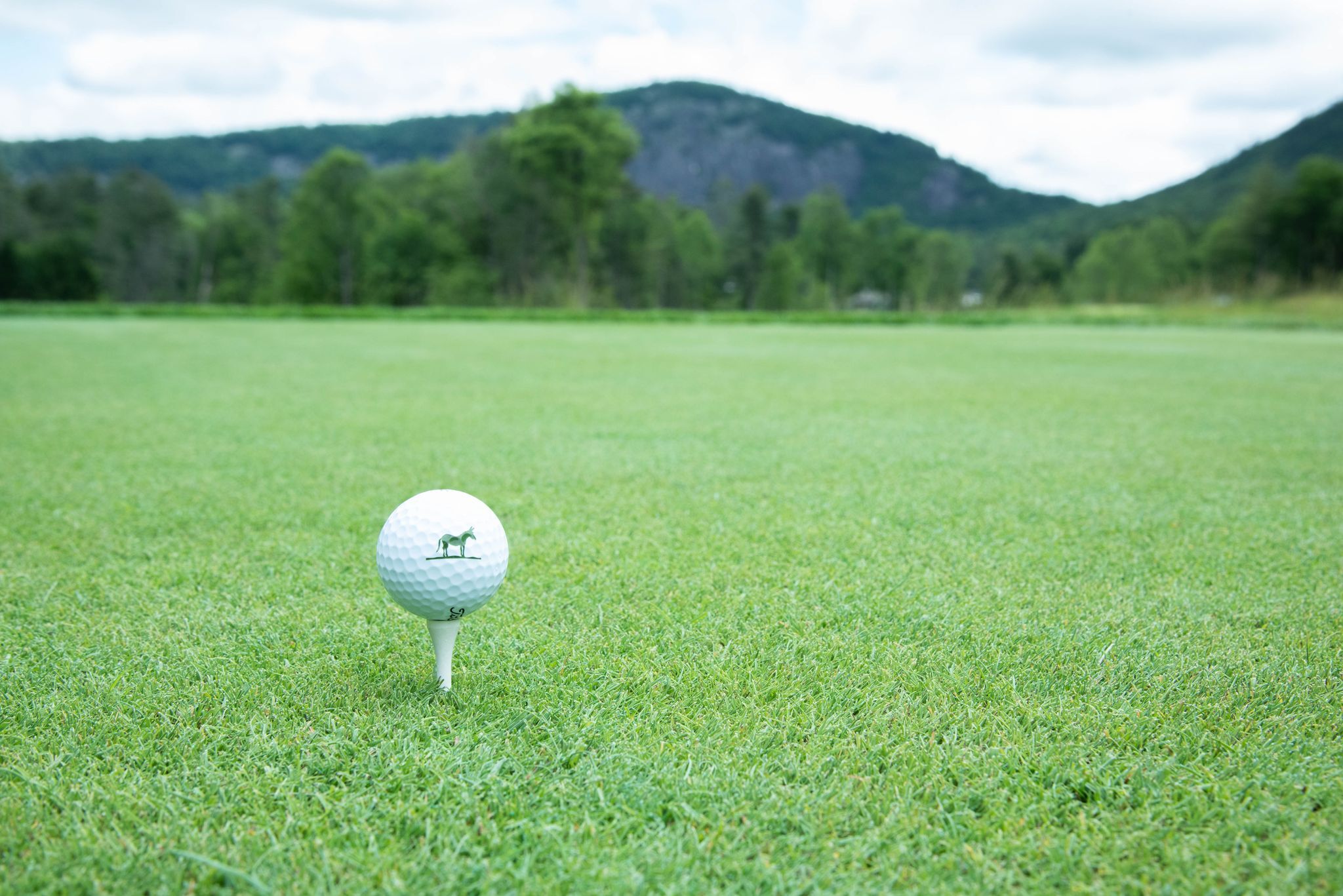 Close up of golf ball