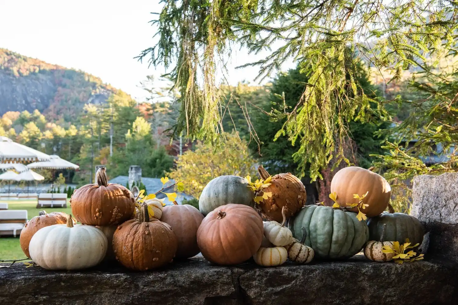 Web JPG HH 21 10 26 RAU FALL 6190