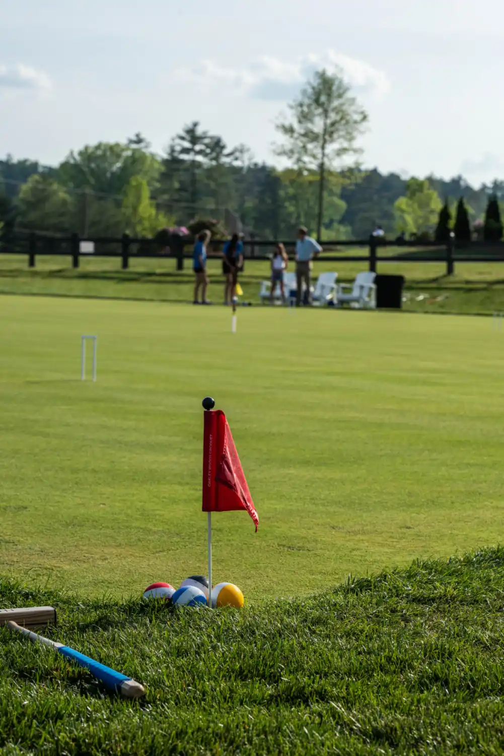 Court sport flag close up
