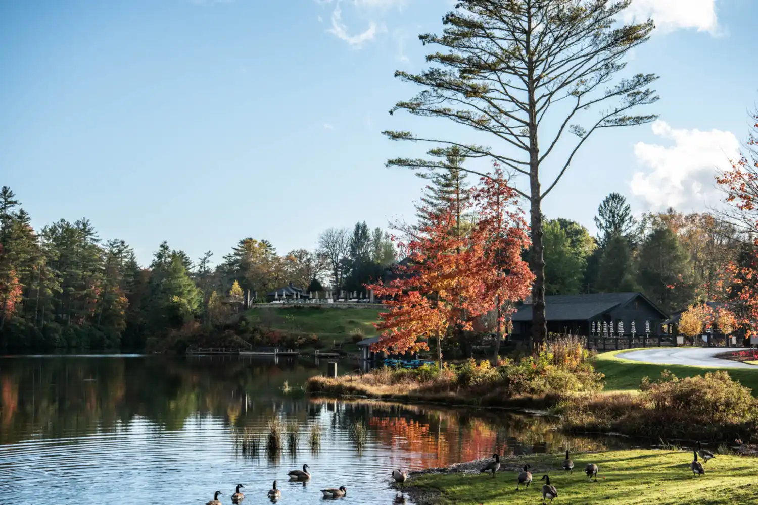 HH 21 10 26 RAU FALL 5646