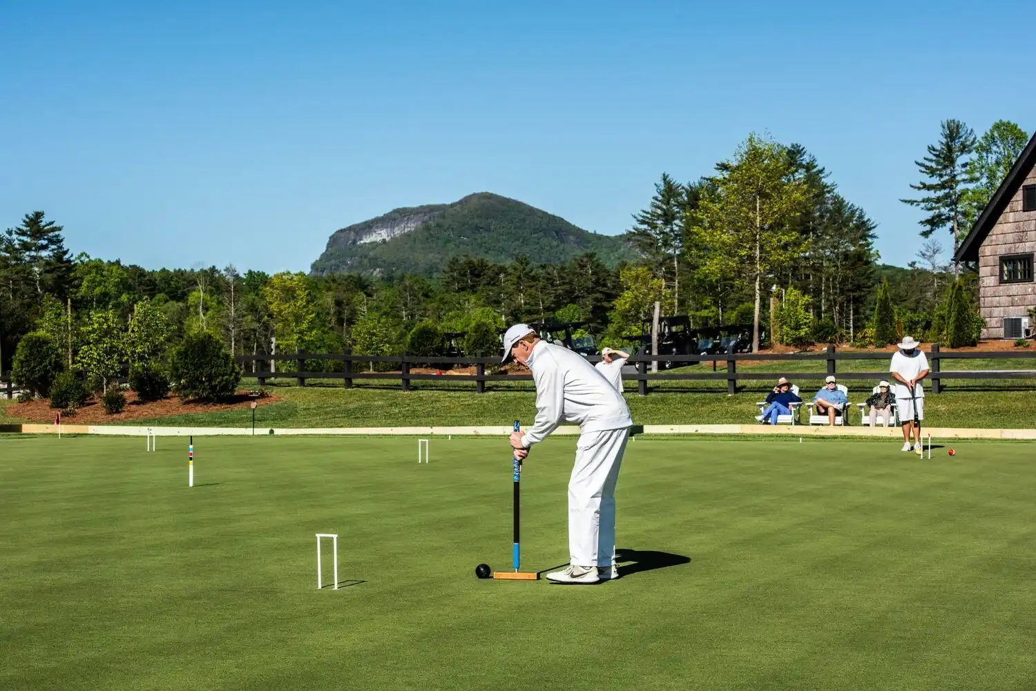 Man playing croquet on a sunny day