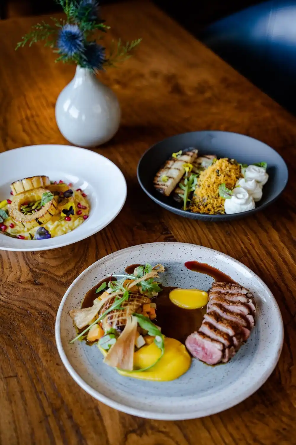 Overview of beautifully plated proteins