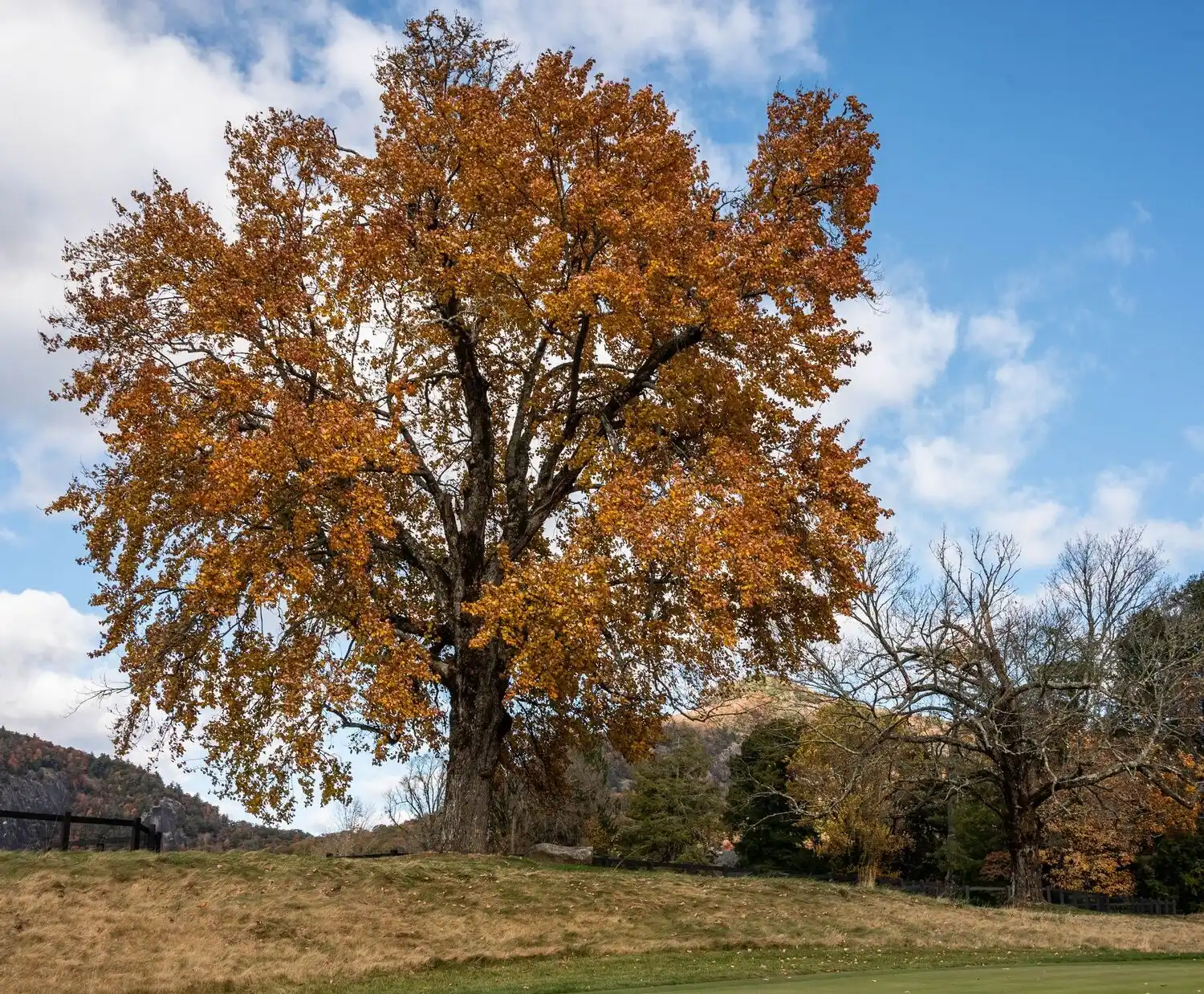 Web JPG HH 22 10 19 RAU FALL 4265