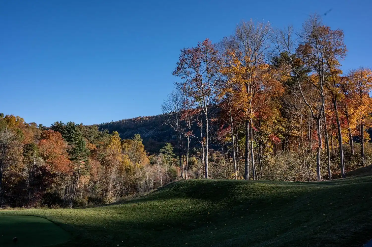 Web JPG HH 22 10 19 RAU FALL 4470