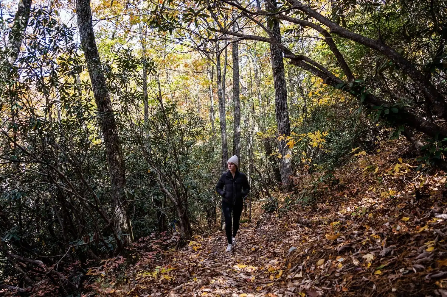 Web JPG HH 22 10 19 RAU FALL 4659