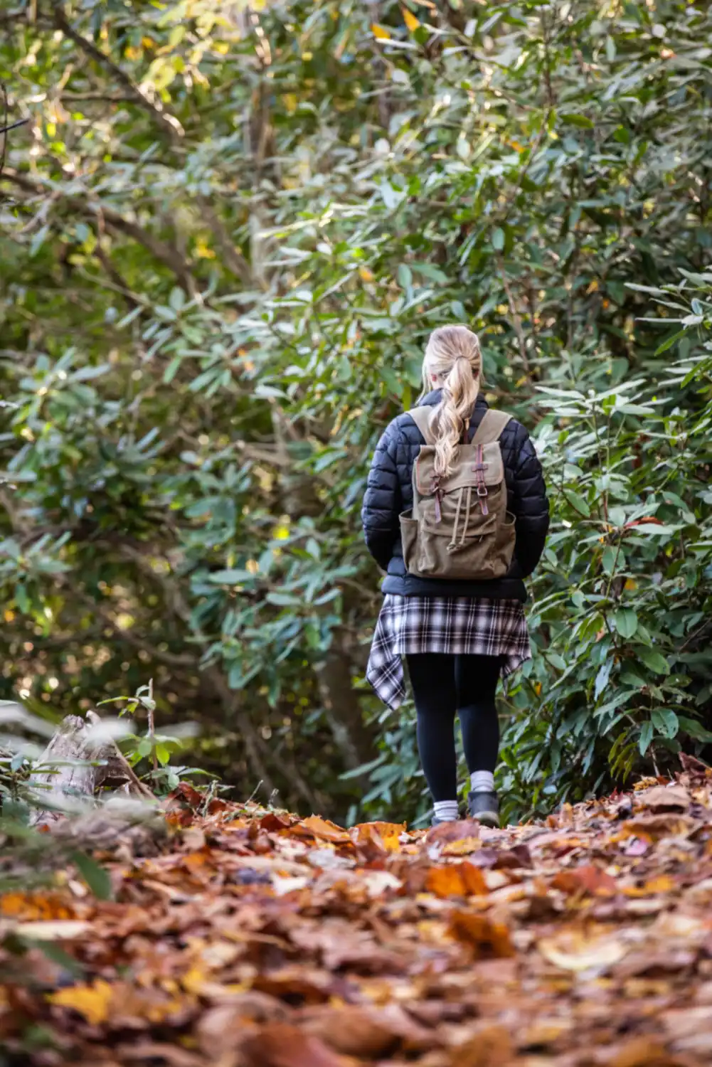 HH 21 10 26 RAU FALL 6563