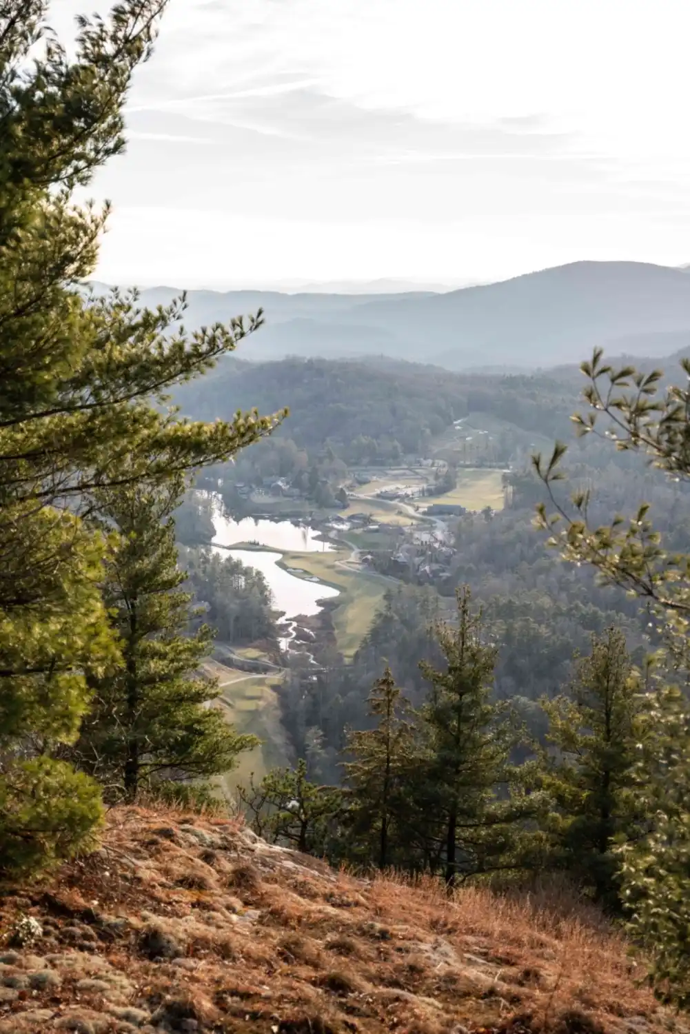 M Harris High Hampton Dec2023 print 300 1