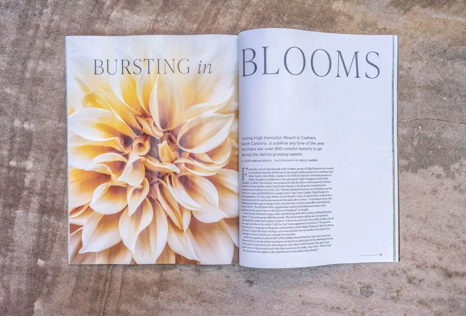 Web JPG HH 24 06 26 RAU FLOWER MAG COVER 2924