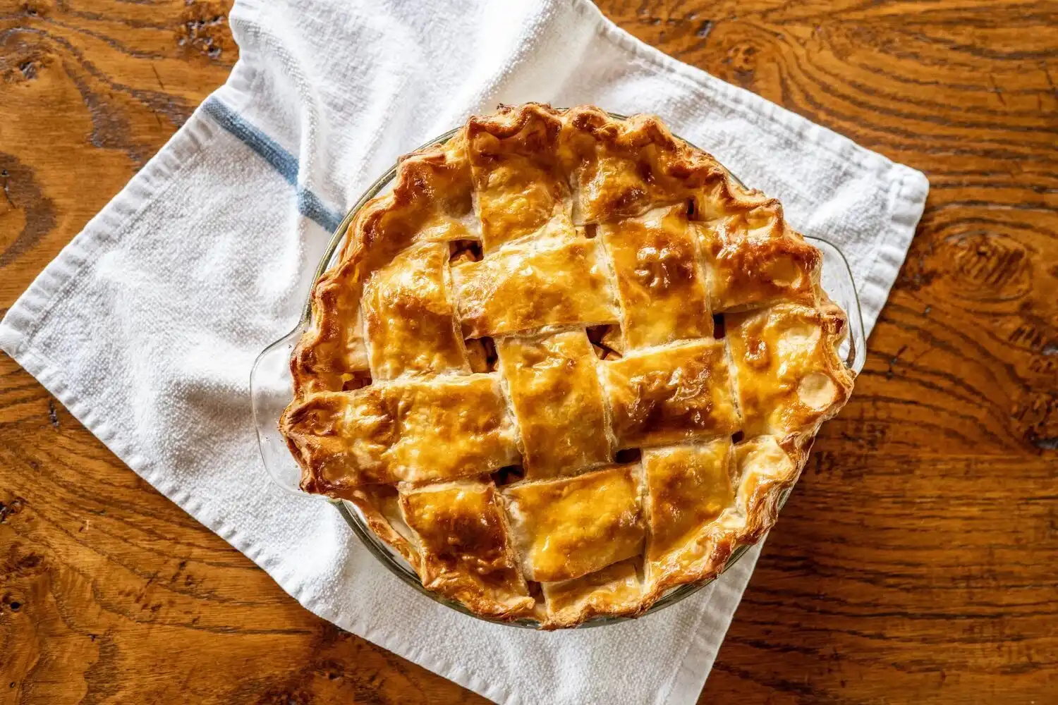 Web JPG HH 24 07 24 RAU SUMMER 9101