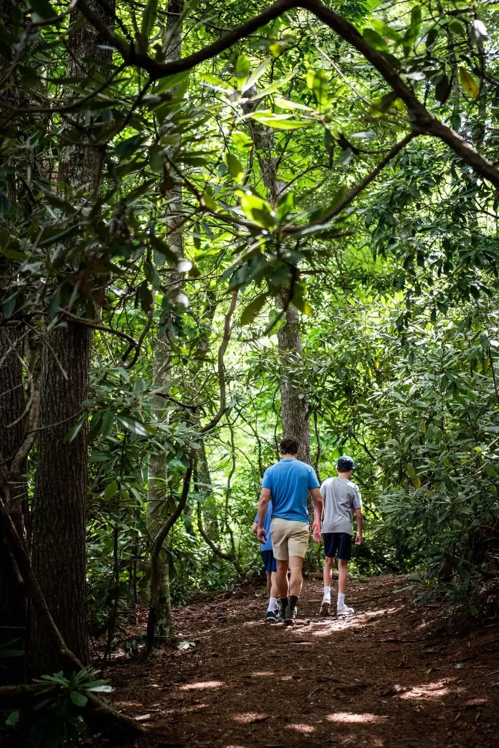 Father and Sons Hiking in the Summer
