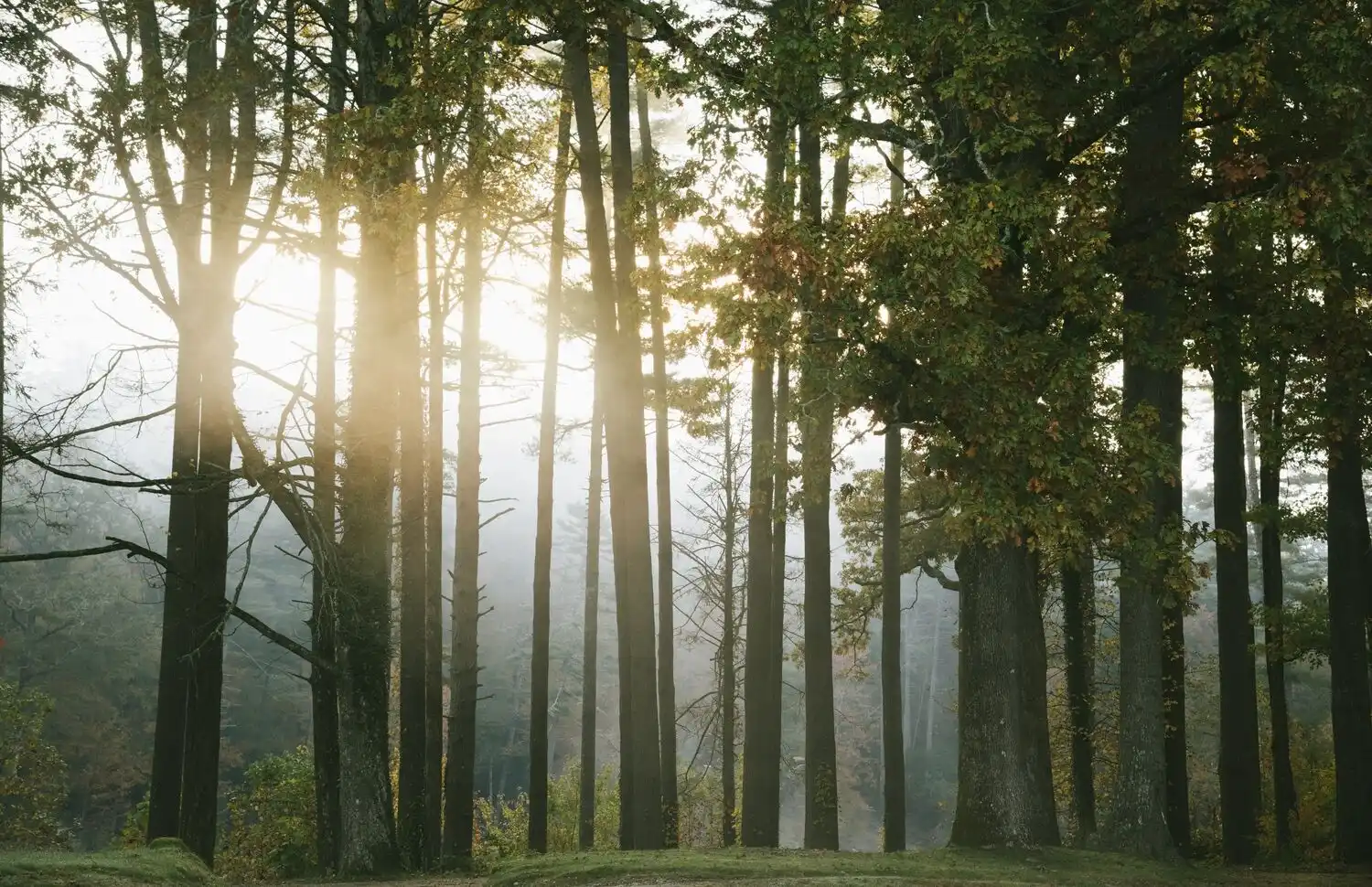 Web JPG HIGH HAMPTON OCT2019 7688