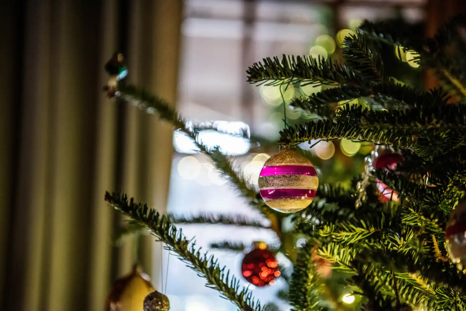HH 21 11 29 RAU CHRISTMAS 0253