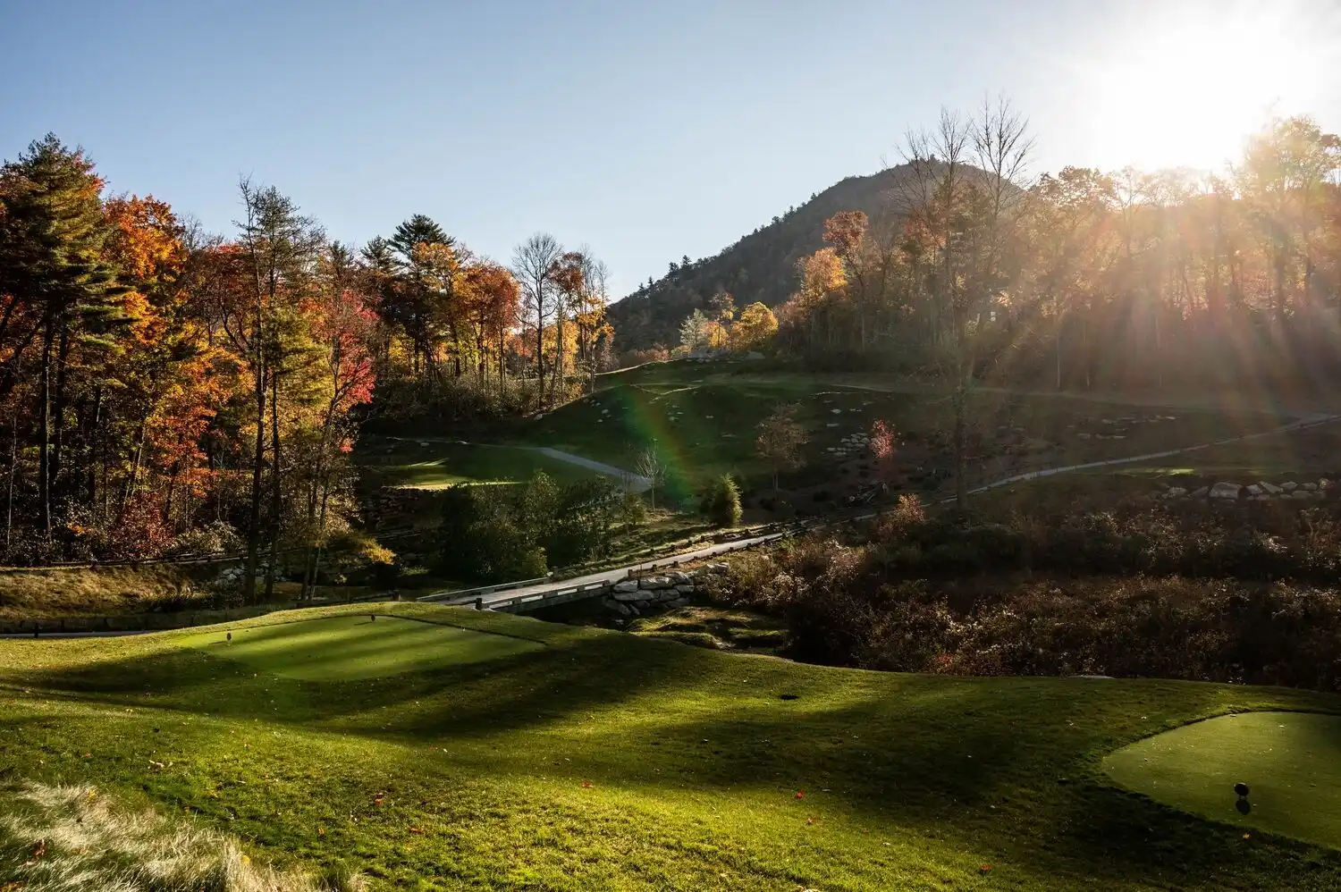 Web JPG HH 22 10 19 RAU FALL 4468