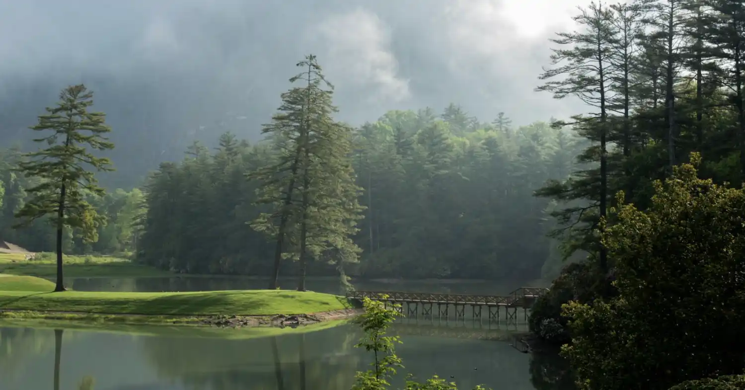 Screen Shot 2021 01 05 at 4 13 14 PM