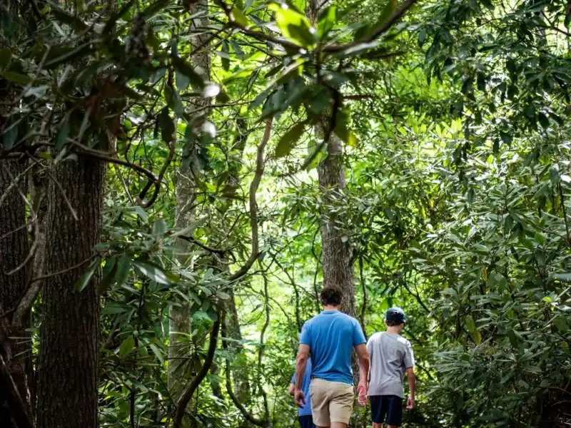 Father and Sons Hiking in the Summer