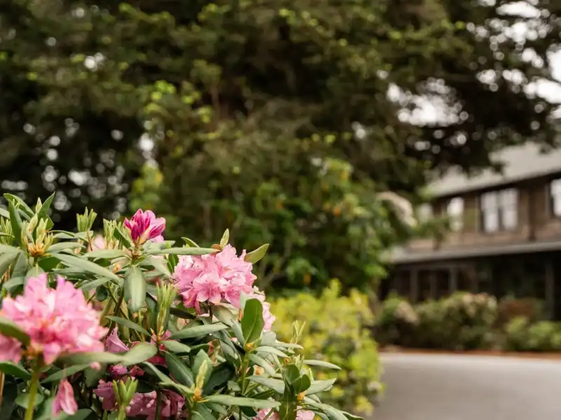 Web JPG HH Memorial Day2025 Molly Harris Photo 127