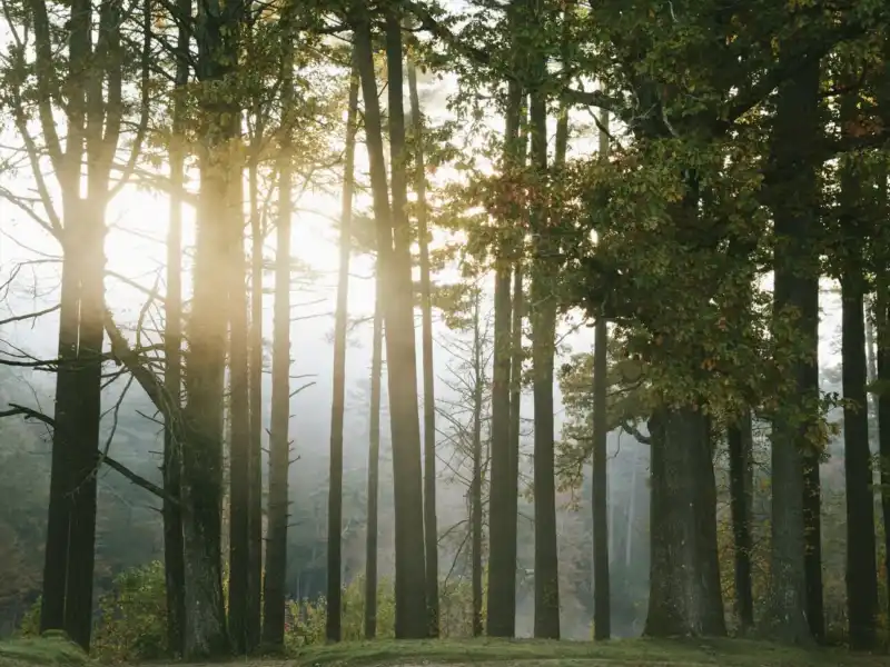 Web JPG HIGH HAMPTON OCT2019 7688