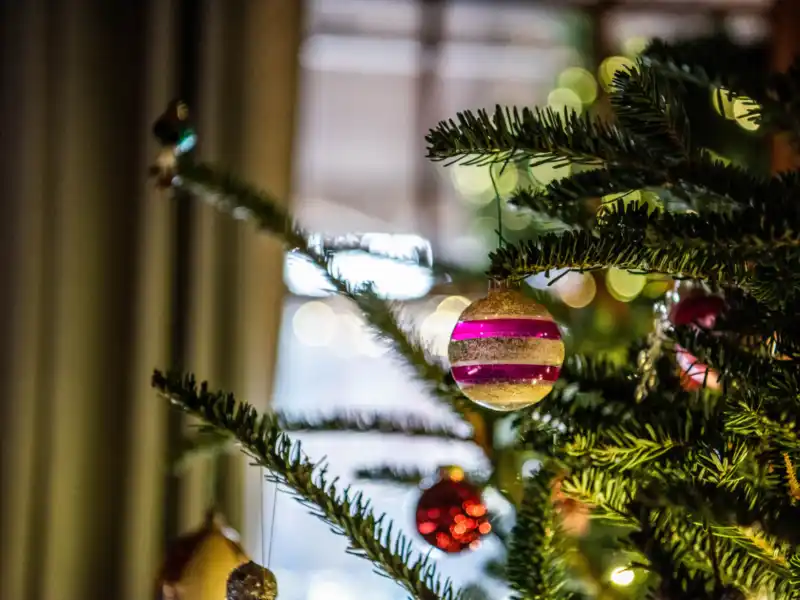 HH 21 11 29 RAU CHRISTMAS 0253