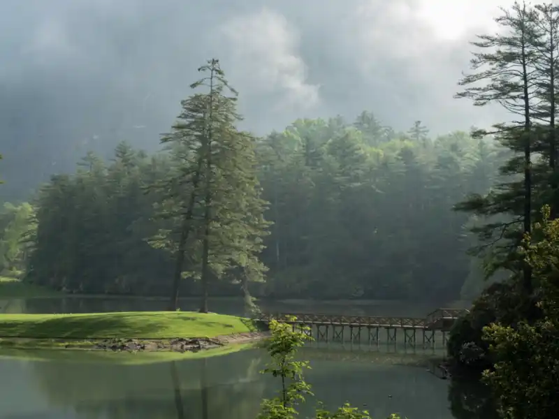 Screen Shot 2021 01 05 at 4 13 14 PM