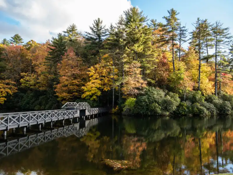 HH 21 10 26 RAU FALL 5663