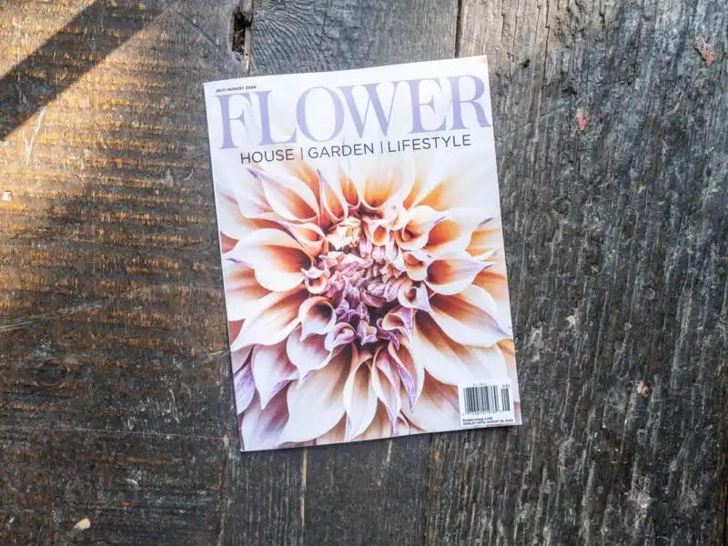 Web JPG HH 24 06 26 RAU FLOWER MAG COVER 2921