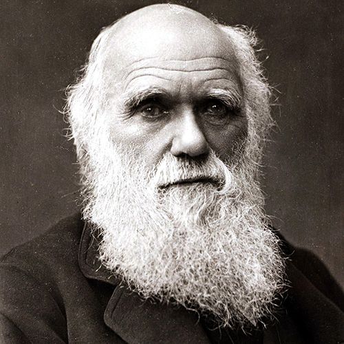 Charles Darwin Explains The Origin of Species & His Theory of Evolution image