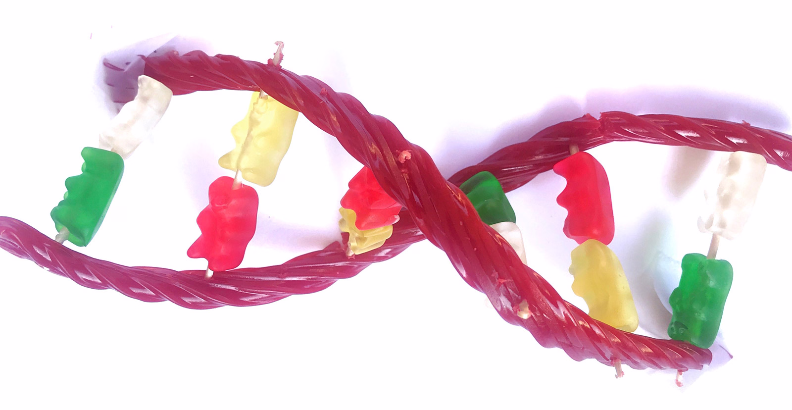 Make a Candy DNA Model image