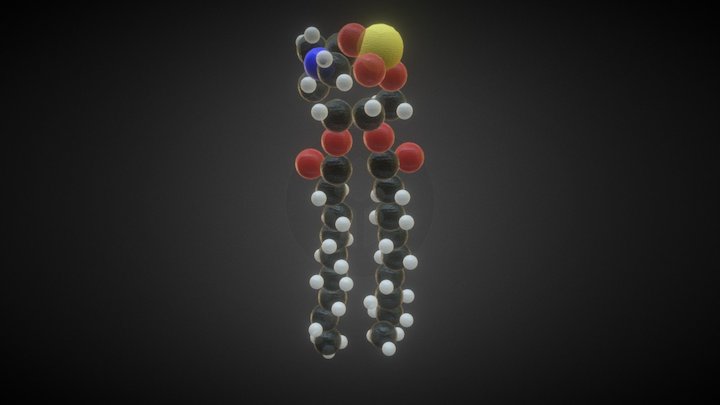 Different Types of Biological Macromolecules image