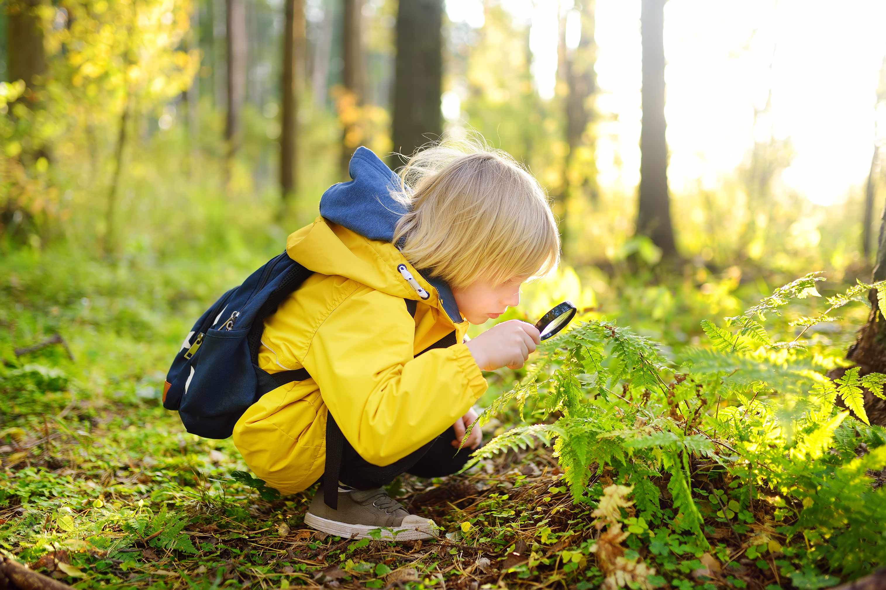 Whether you’re reading a graph, organizing your backpack, or trying to understand someone’s mood, careful observation and clear sorting help you see what matters and understand how things fit together.