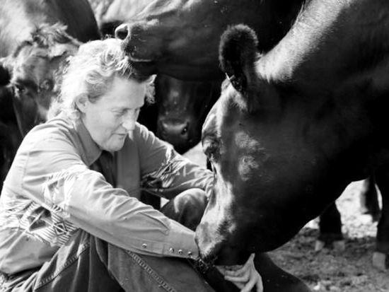 Temple Grandin Official Site image